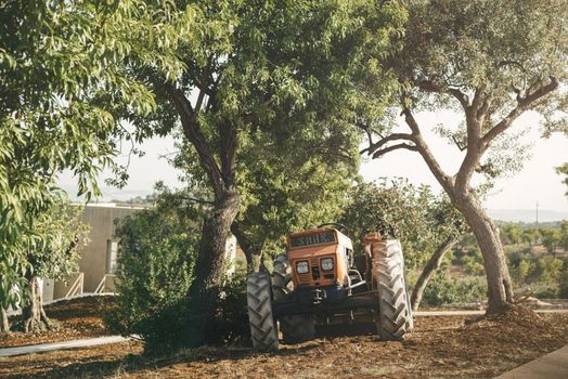 Country House Villadorata