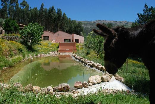 Vale do Ninho Nature Houses