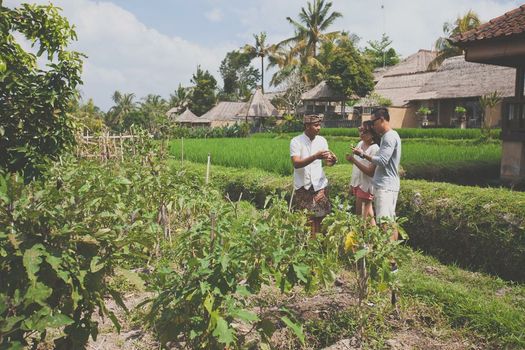 Wapa di Ume Ubud