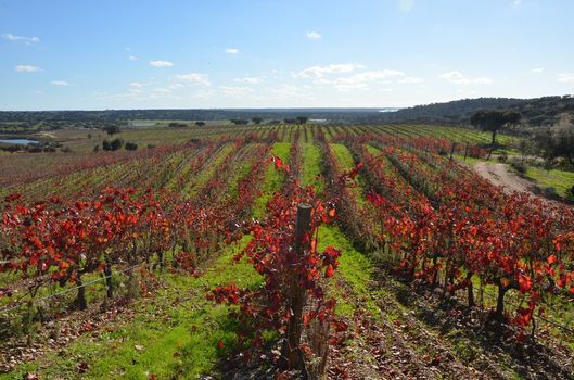 Herdade Do Sobroso Wine & Luxury Boutique Hotel