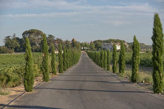 Château St Pierre de Serjac