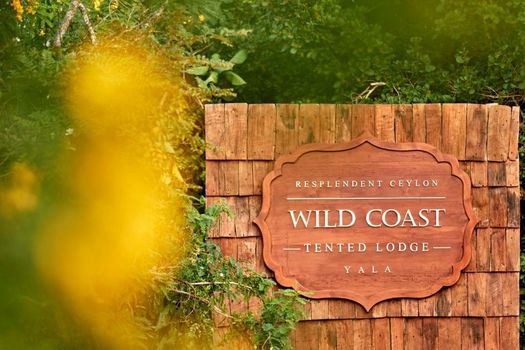 Wild Coast Tented Lodge All Inclusive