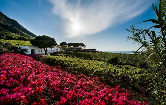 Capofaro Locanda & Malvasia