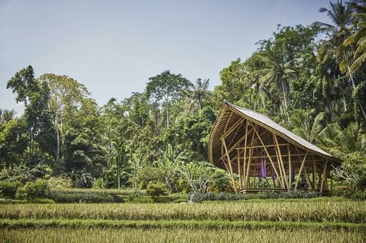 Four Seasons Resort Bali at Sayan