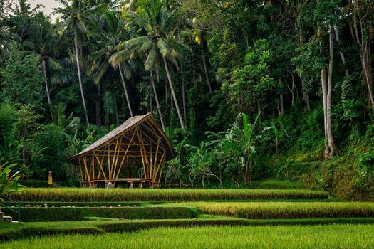 Four Seasons Resort Bali at Sayan