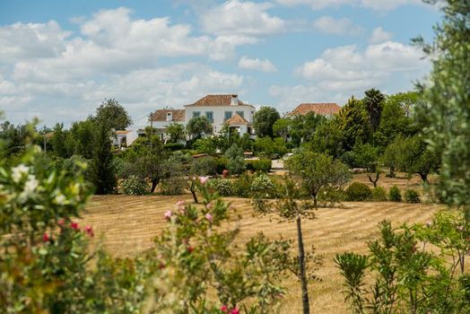 Quinta Da Colina