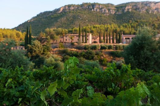 Terra Dominicata - Hotel & Winery - Adults Only