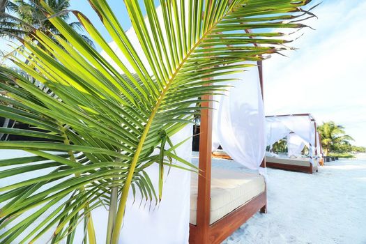 Los Amigos Beach Hotel Boutique