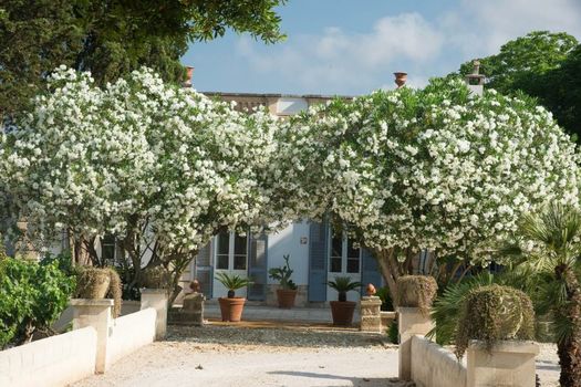 Dimora Del Duca, masseria b&b di charme