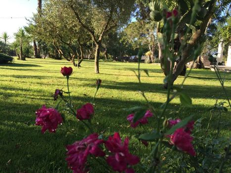 Dimora Del Duca, masseria b&b di charme