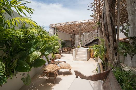 Orchid House Tulum