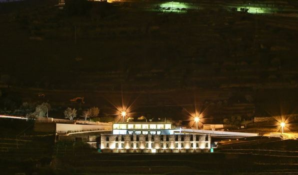 Delfim Douro Hotel