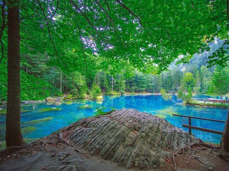 Hotel & Spa Blausee