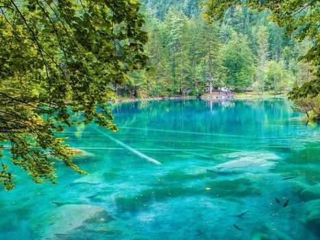 Hotel & Spa Blausee