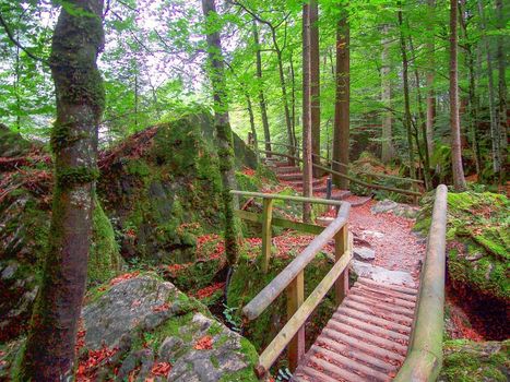 Hotel & Spa Blausee