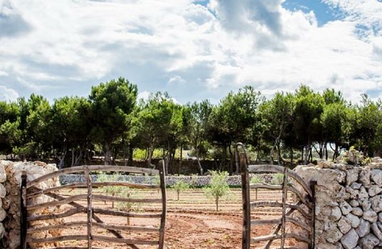 Hotel Rural Sant Joan de Binissaida