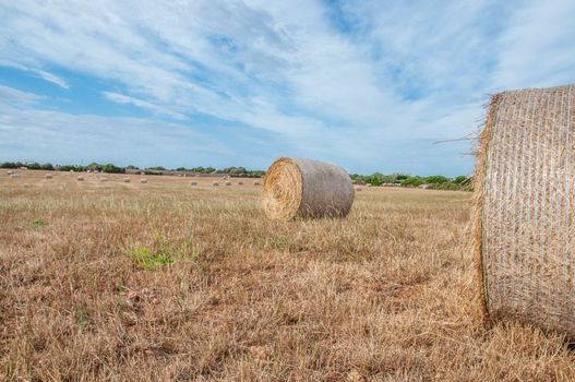 Agroturismo Son Juaneda