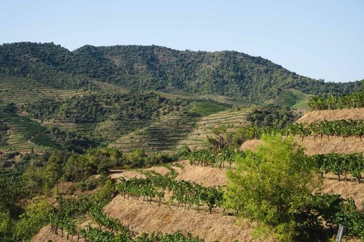 Ora Hotel Priorat