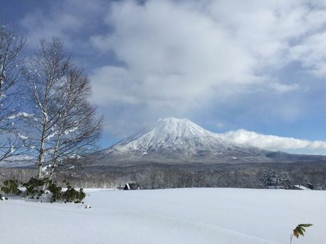 Andaru Collection Niseko