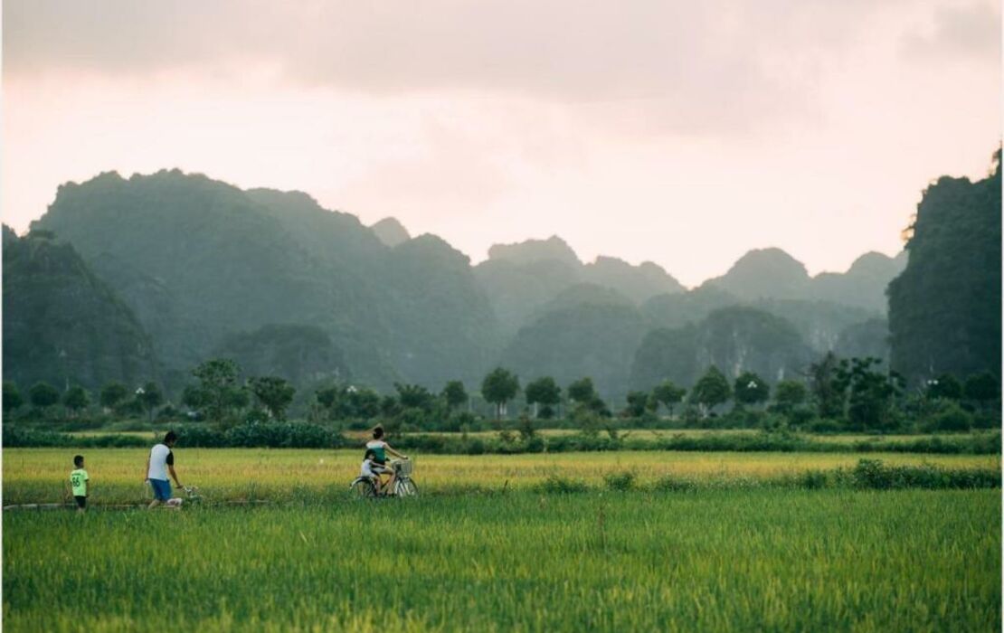 Tam Coc Windy Fields