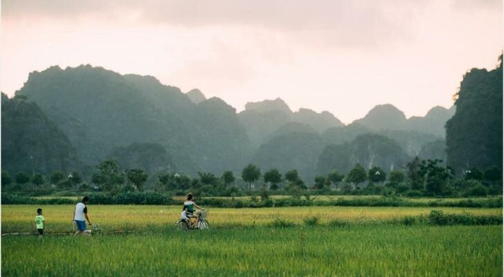 Tam Coc Windy Fields