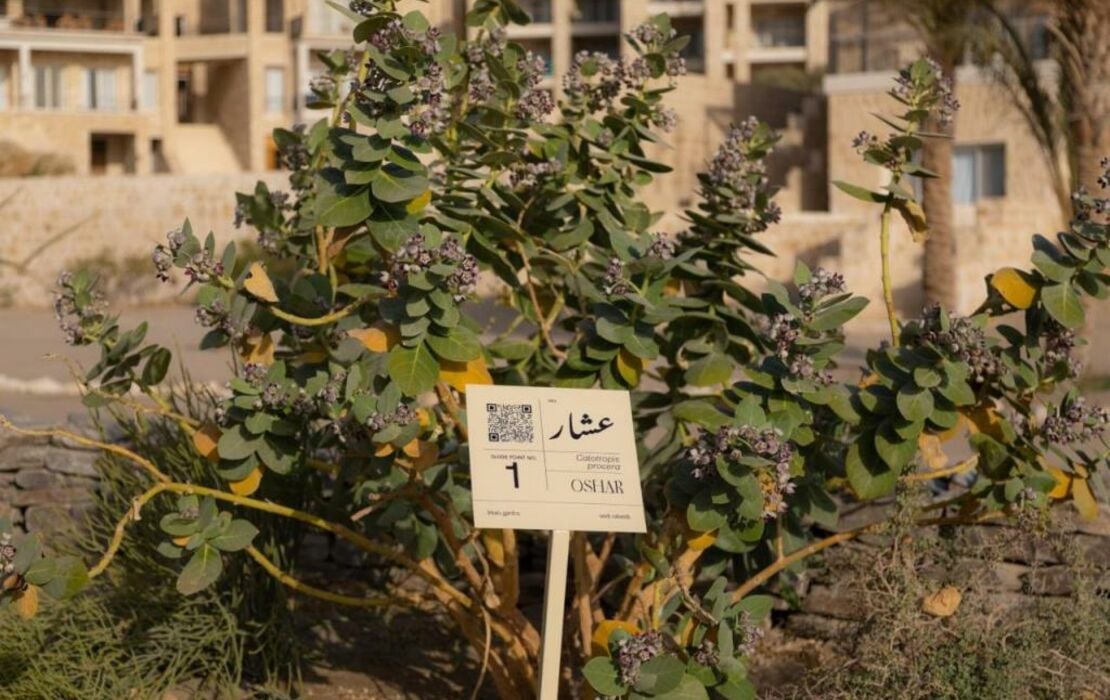 Wadi Sabarah Lodge