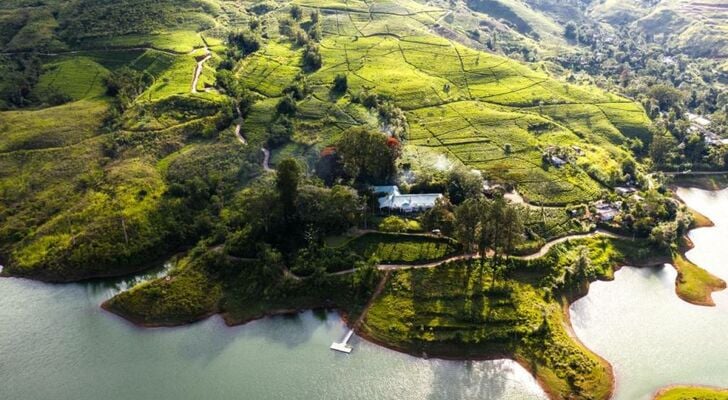 Ceylon Tea Trails - Relais and Chateaux