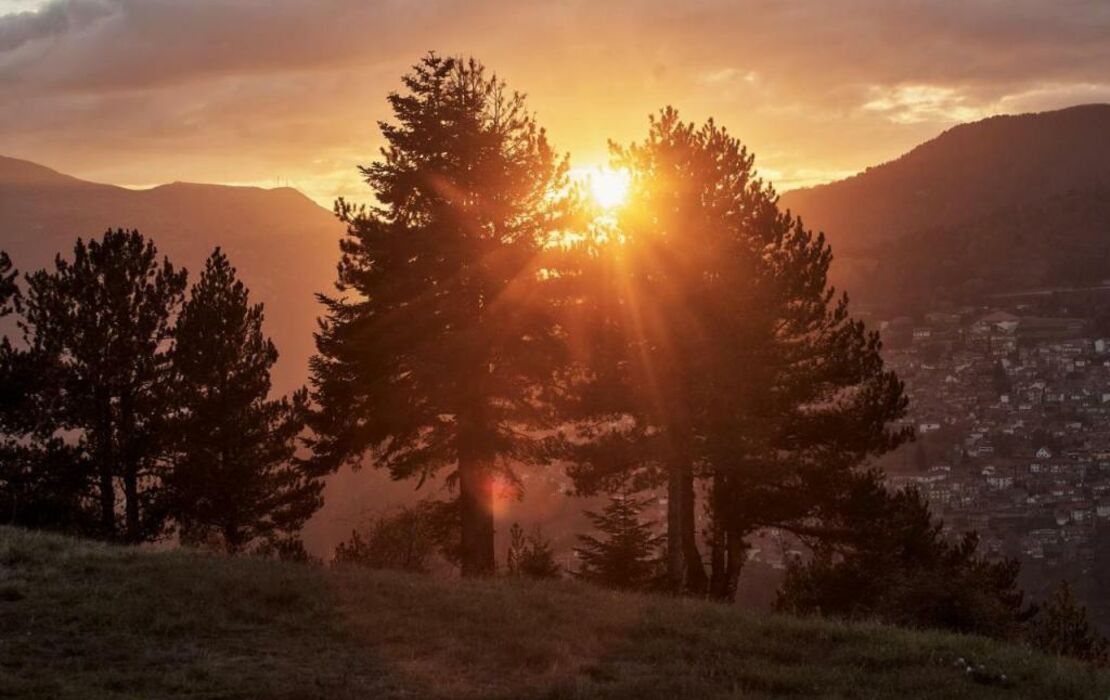 Grand Forest Metsovo