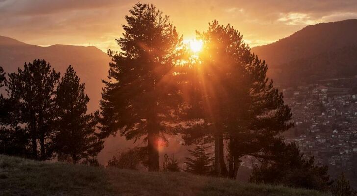 Grand Forest Metsovo