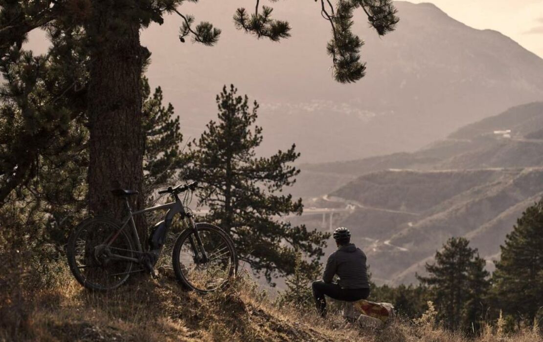 Grand Forest Metsovo