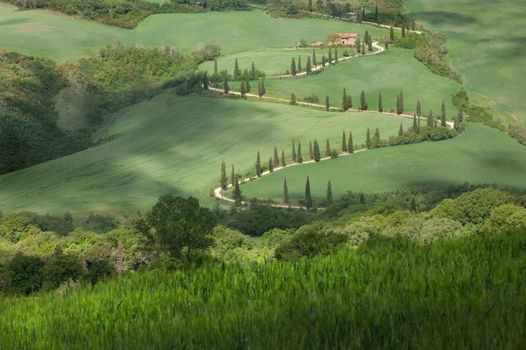 Monteverdi Tuscany