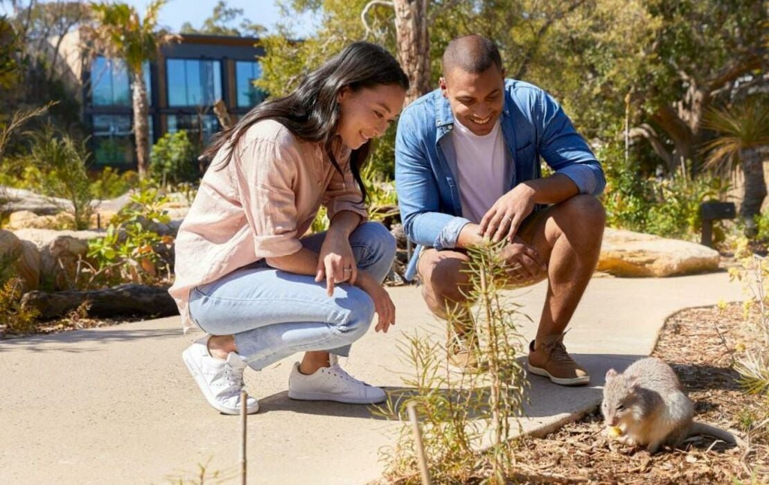 Wildlife Retreat at Taronga