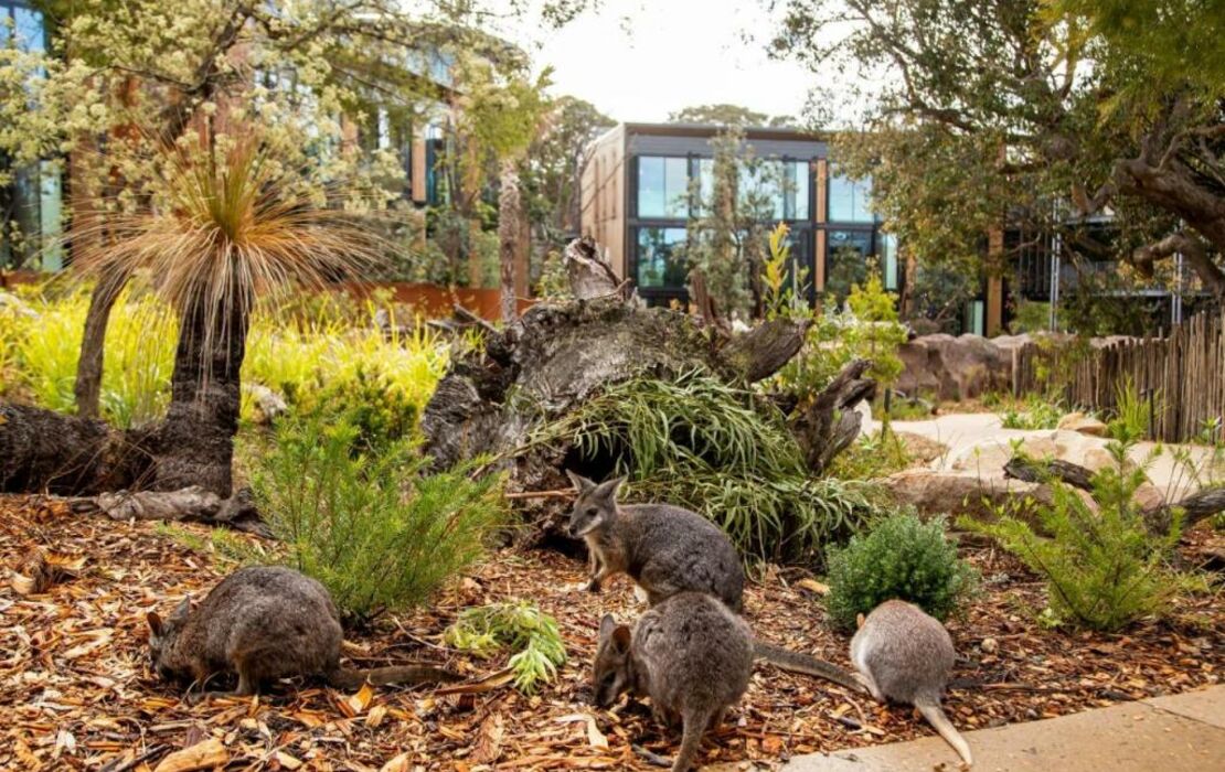 Wildlife Retreat at Taronga