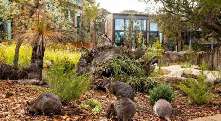 Wildlife Retreat at Taronga