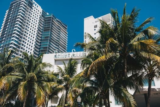 Shore Club South Beach