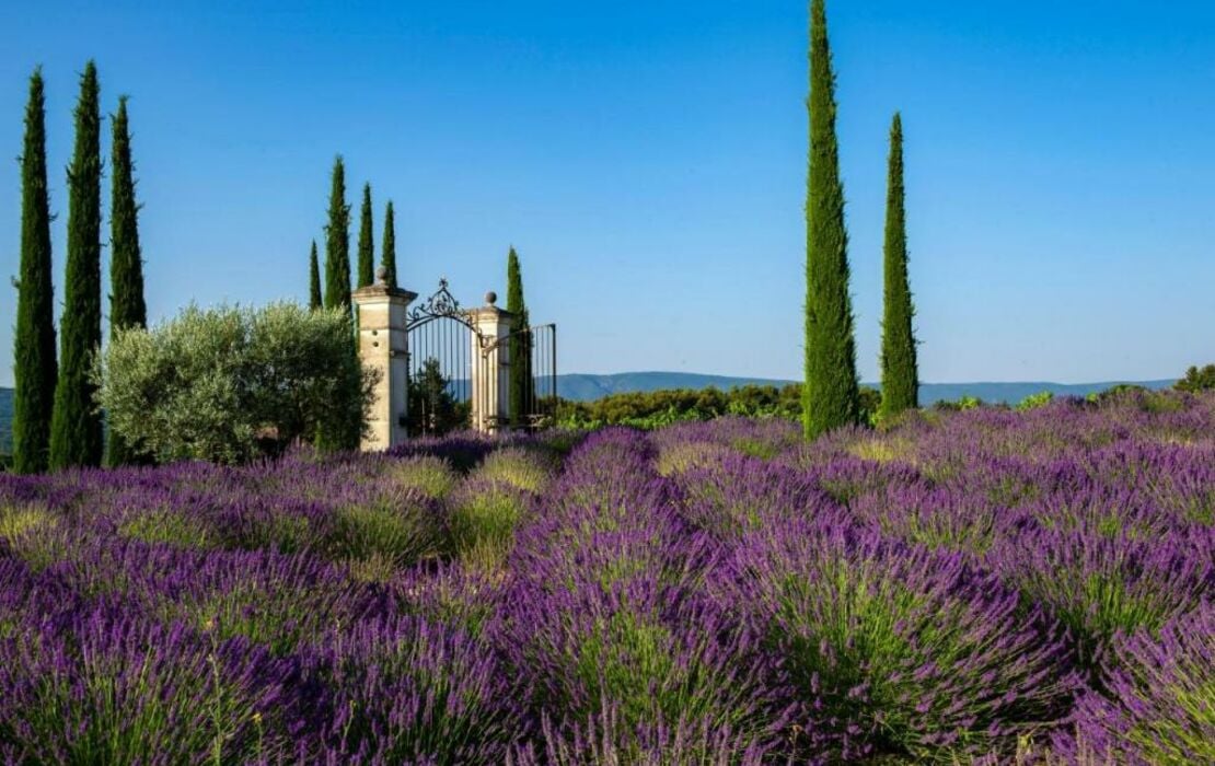 Coquillade Provence