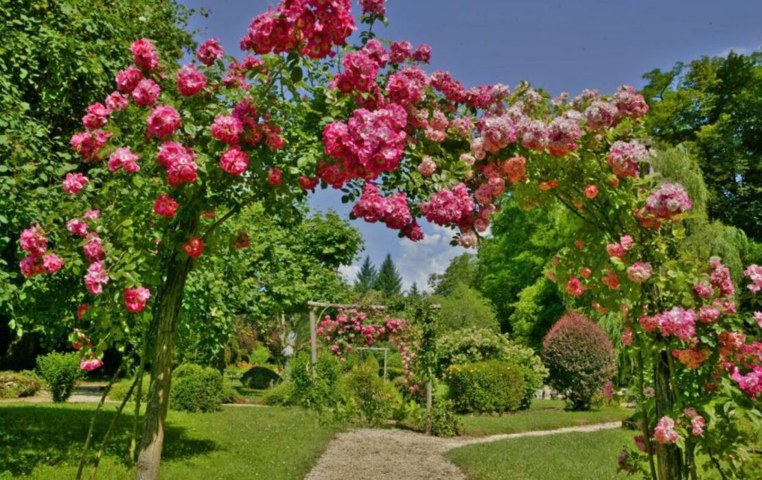 Hôtel Les Glycines - Restaurant & Spa