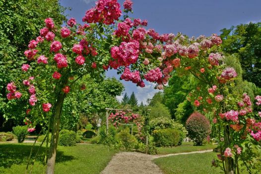 Hôtel Les Glycines - Restaurant & Spa