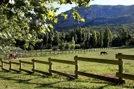 La Bastide De Moustiers - Teritoria