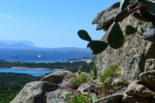 Hotel Pitrizza, a Luxury Collection Hotel, Costa Smeralda