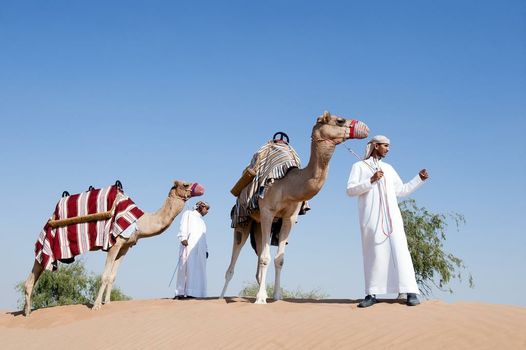 The Ritz-Carlton Ras Al Khaimah, Al Wadi Desert