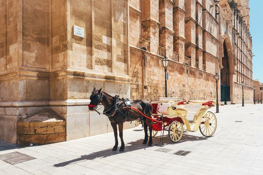 Sant Francesc Hotel Singular