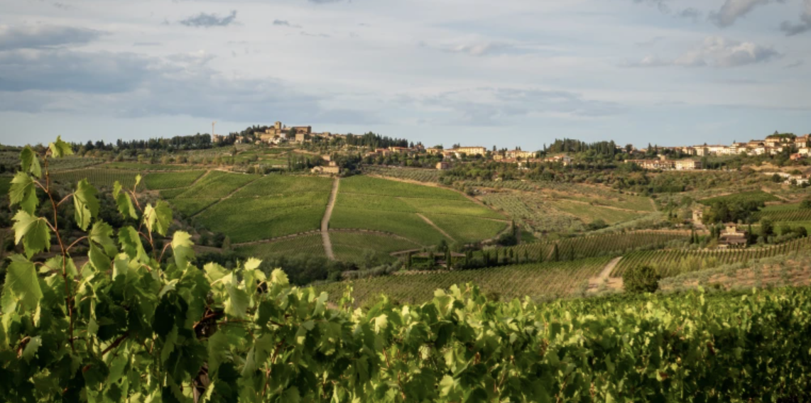 For Wine Lovers, By Wine Lovers: Best Hotels in Wine Countries Worldwide